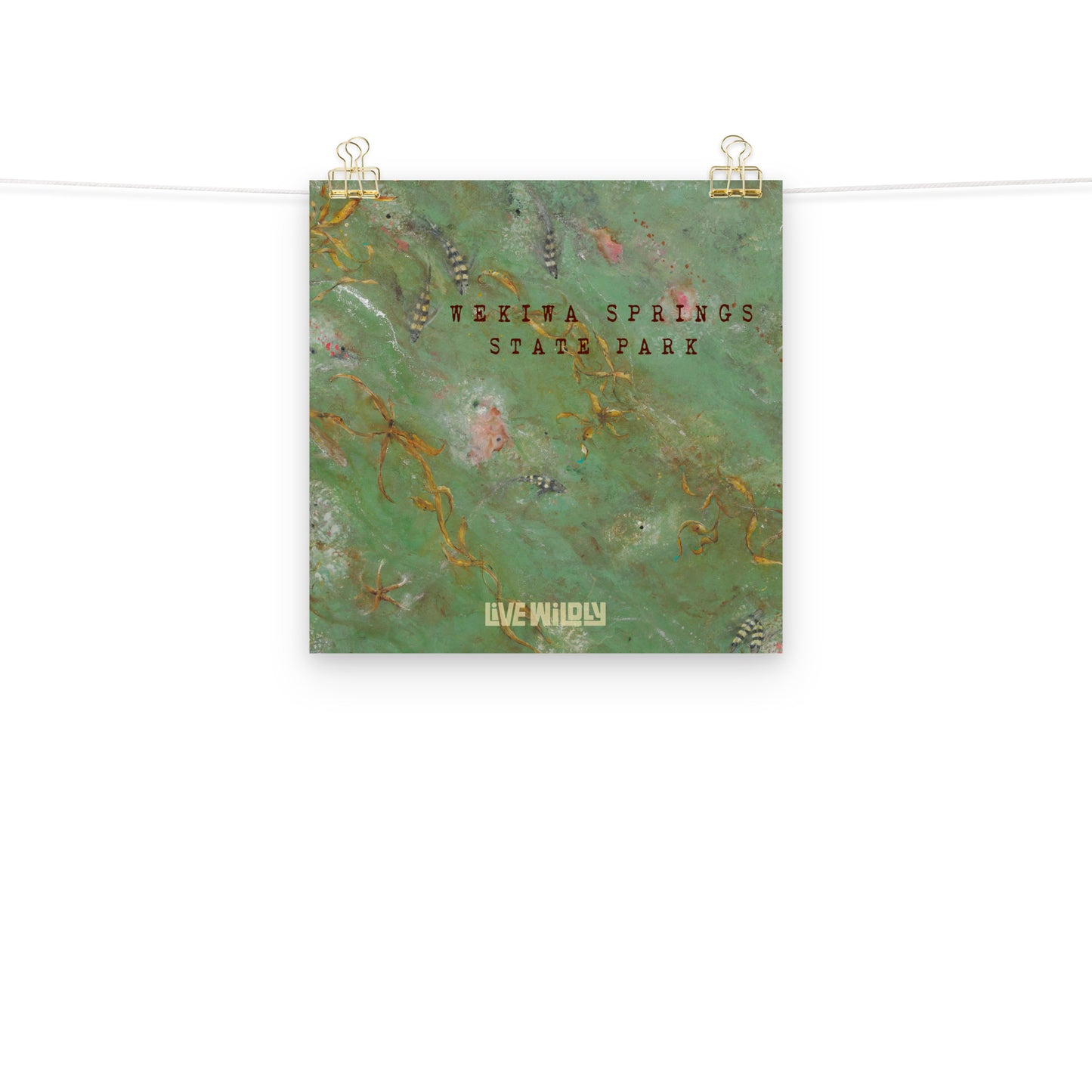 Wekiwa Springs 12"x12" Matte Print by Deborah Mitchell - Live Wildly