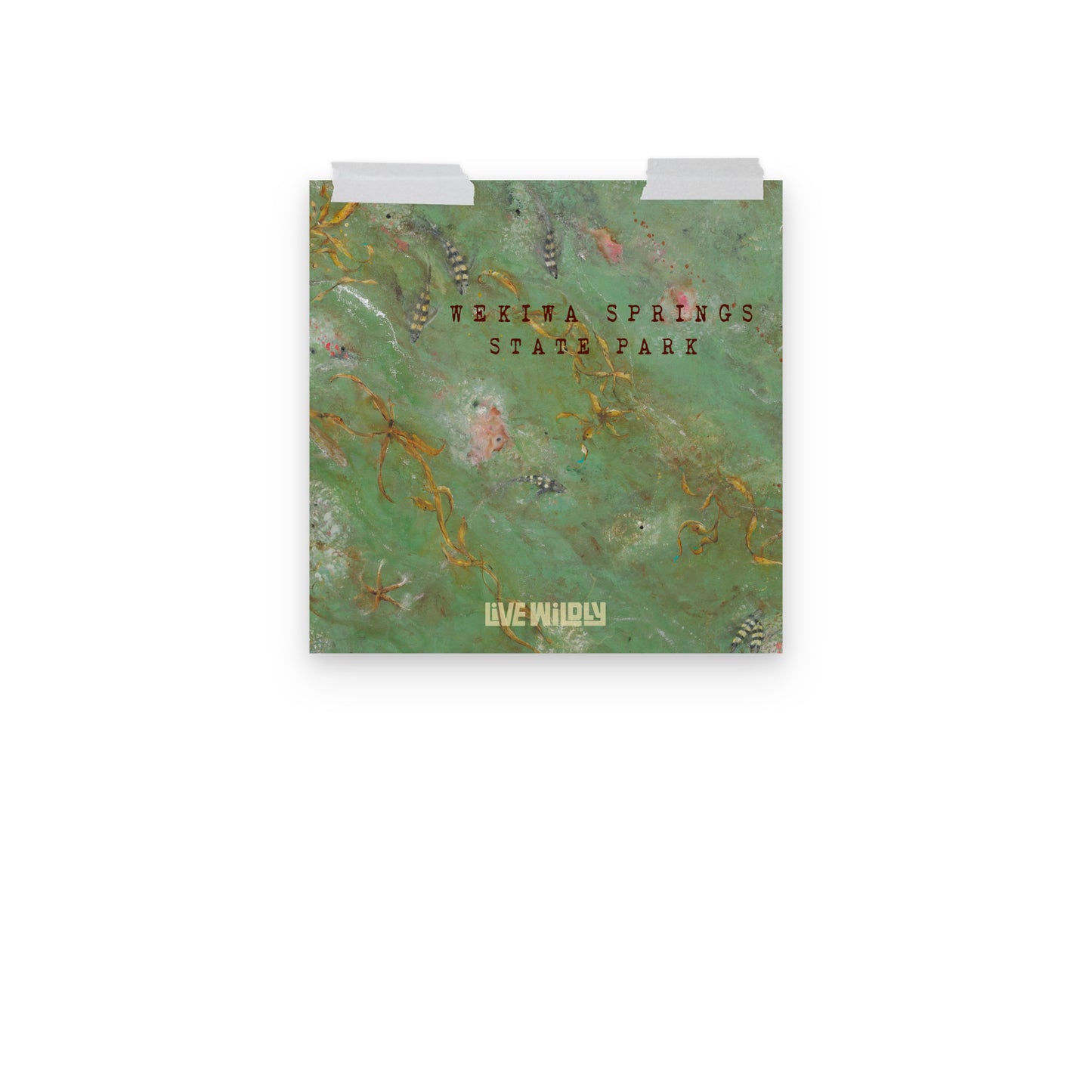 Wekiwa Springs 12"x12" Matte Print by Deborah Mitchell - Live Wildly