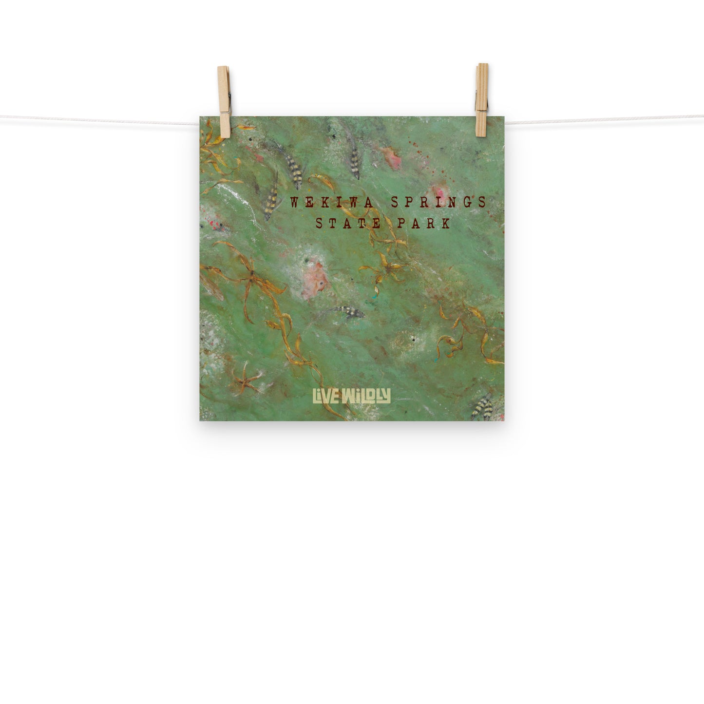 Wekiwa Springs 12"x12" Matte Print by Deborah Mitchell - Live Wildly
