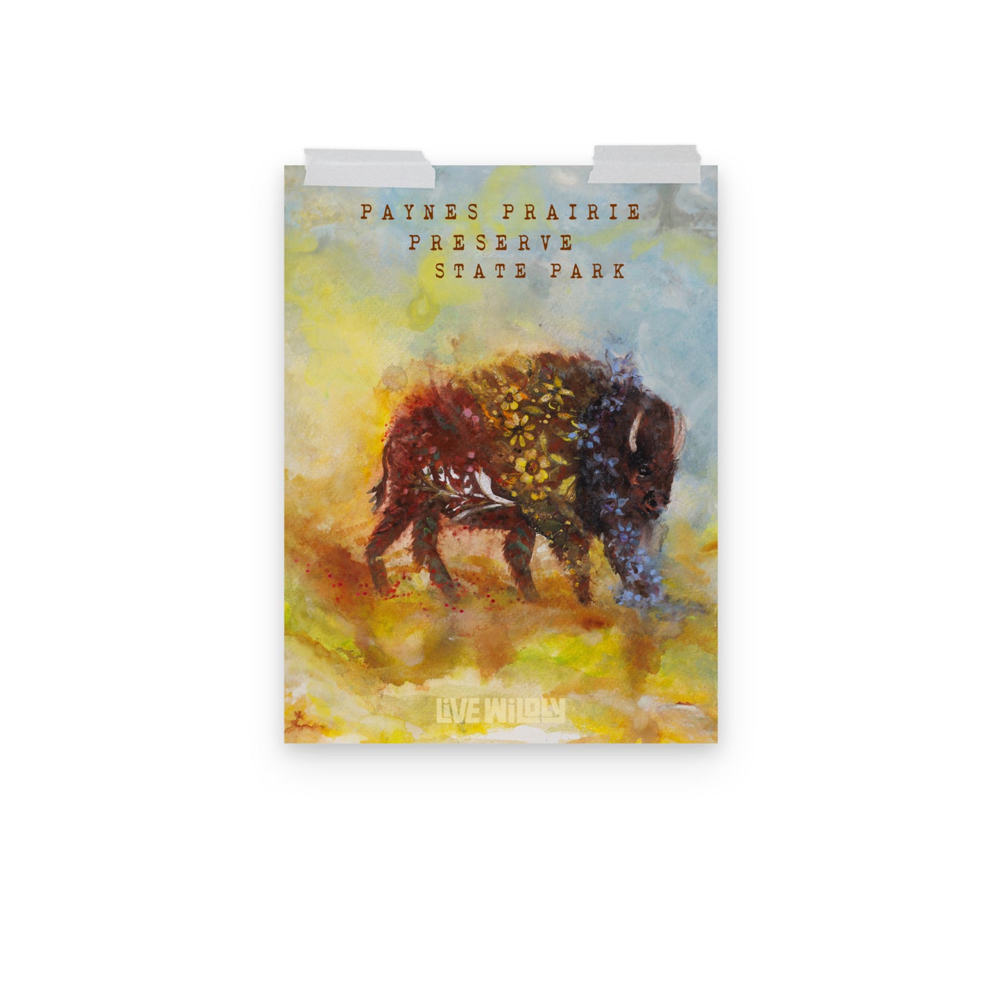 Paynes Prairie Preserve 12"x16" Matte Print by Deborah Mitchell - Live Wildly