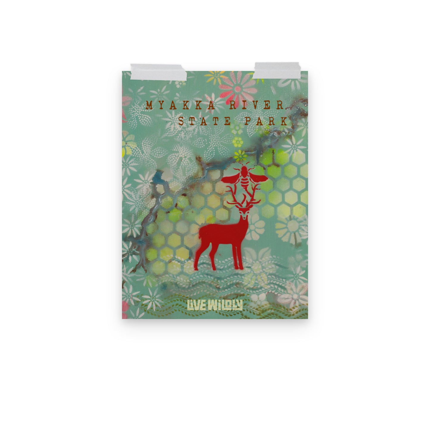 Myakka River 12"x16" Matte Print by Deborah Mitchell - Live Wildly