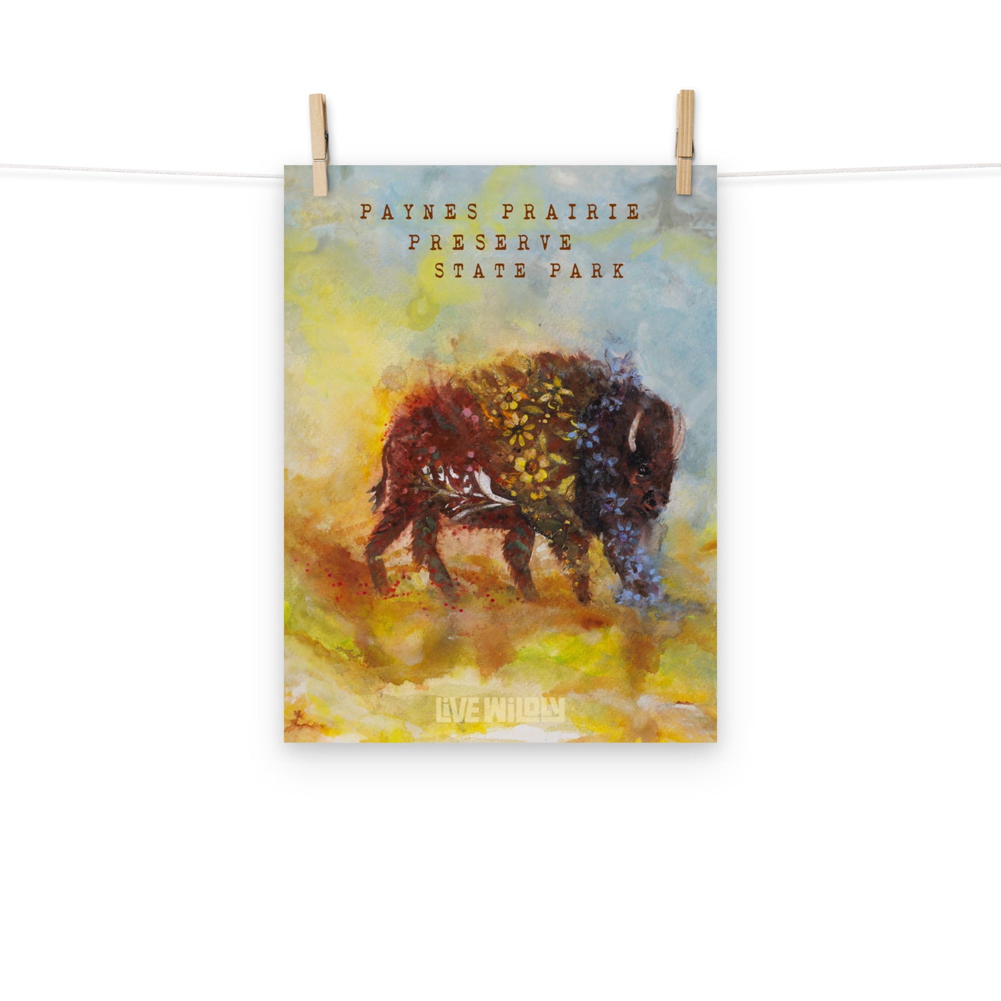 Paynes Prairie Preserve 12"x16" Matte Print by Deborah Mitchell - Live Wildly