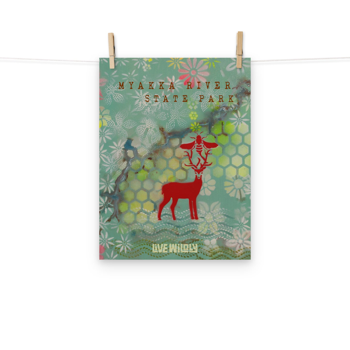 Myakka River 12"x16" Matte Print by Deborah Mitchell - Live Wildly