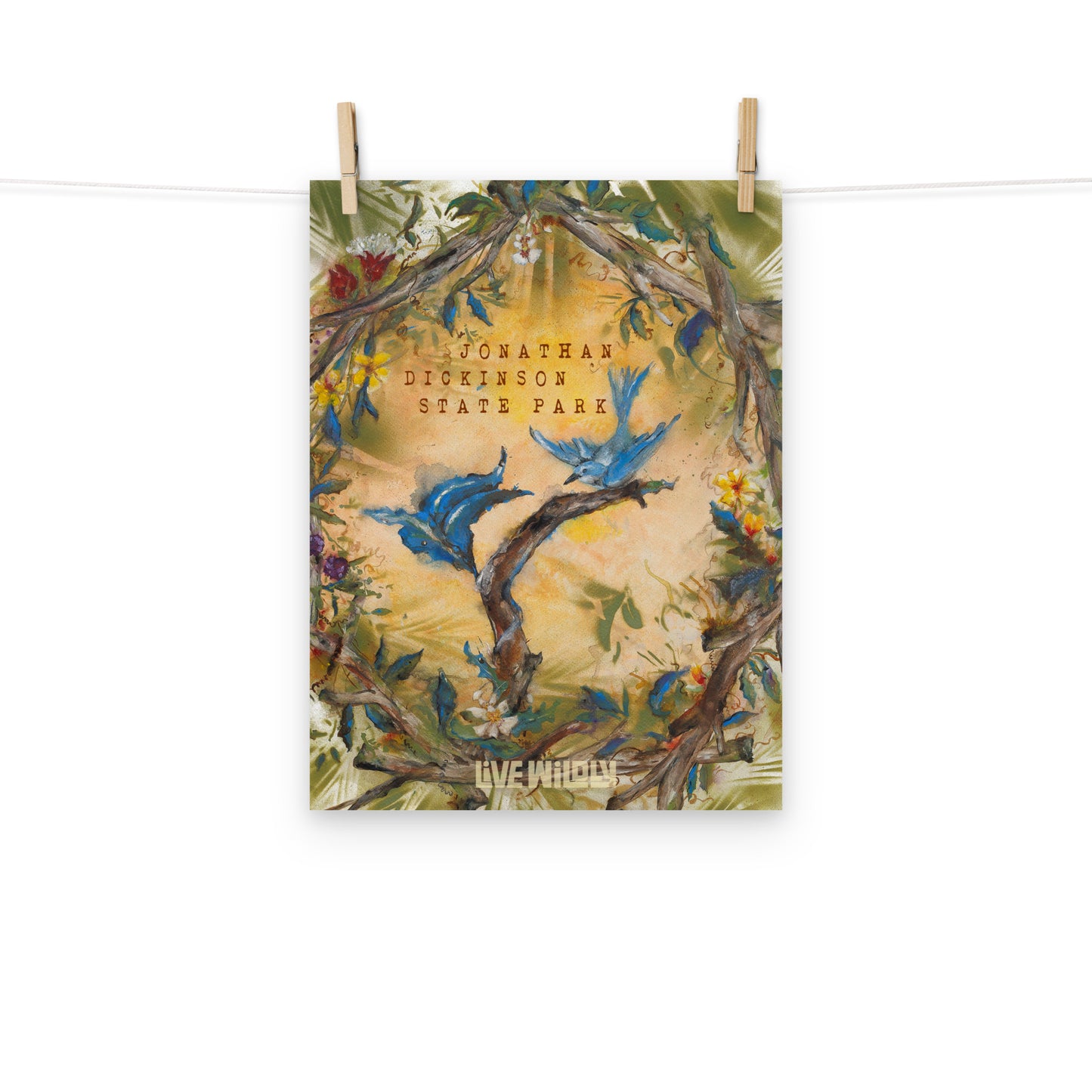 Jonathan Dickinson  12"x16" Matte Print by Deborah Mitchell - Live Wildly