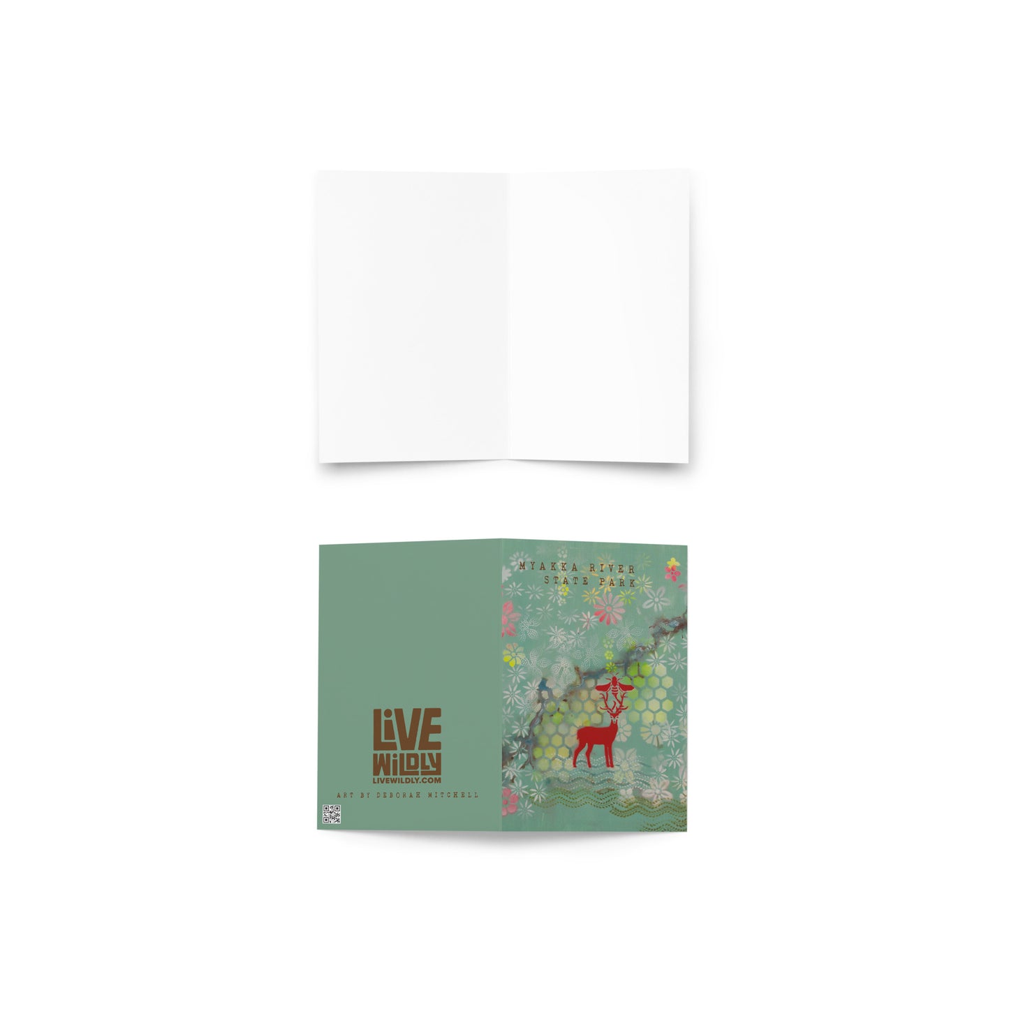 Myakka River Greeting Card by Deborah Mitchell - Live Wildly