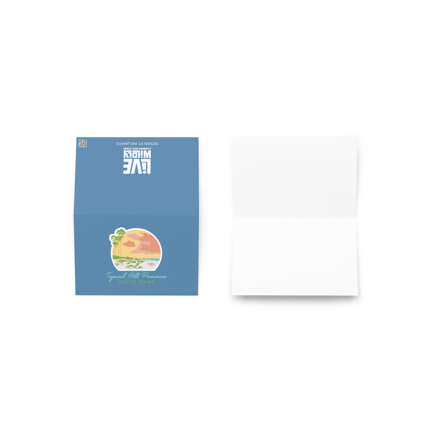 Topsail Hill Preserve Greeting Card by AMLgMATD - Live Wildly