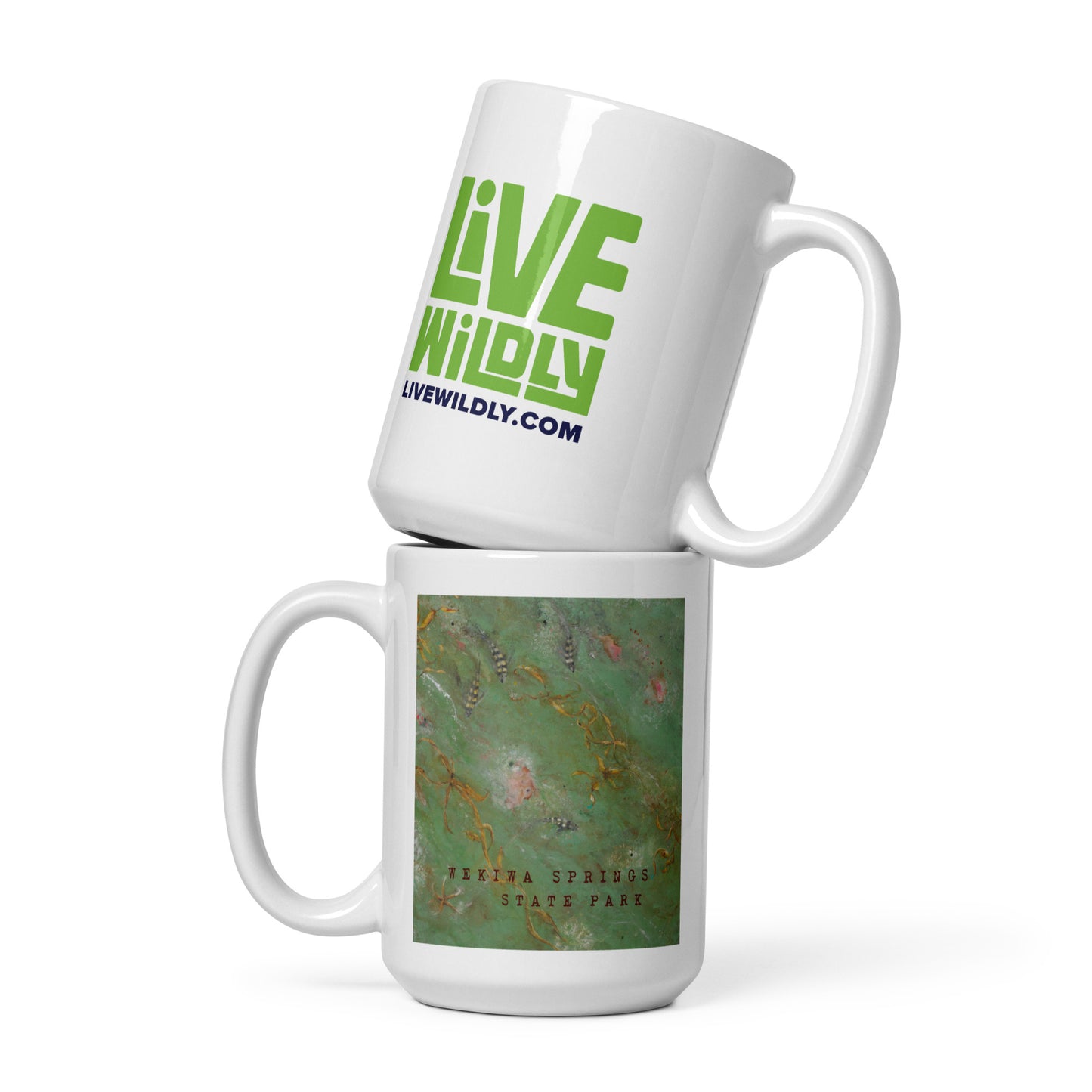 Wekiwa Springs Mug by Deborah Mitchell - Live Wildly