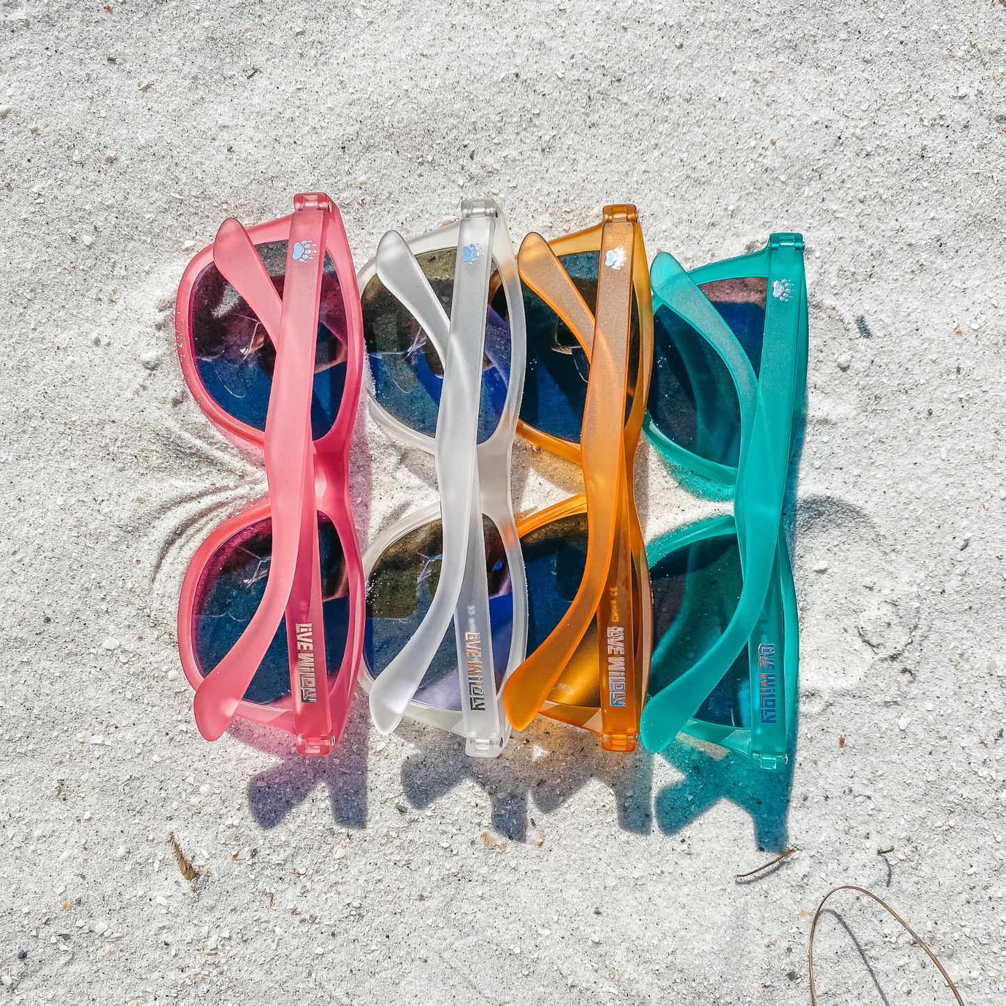 Live Wildly Polarized Sunglasses - Sideways Four Pairs -Live Wildly