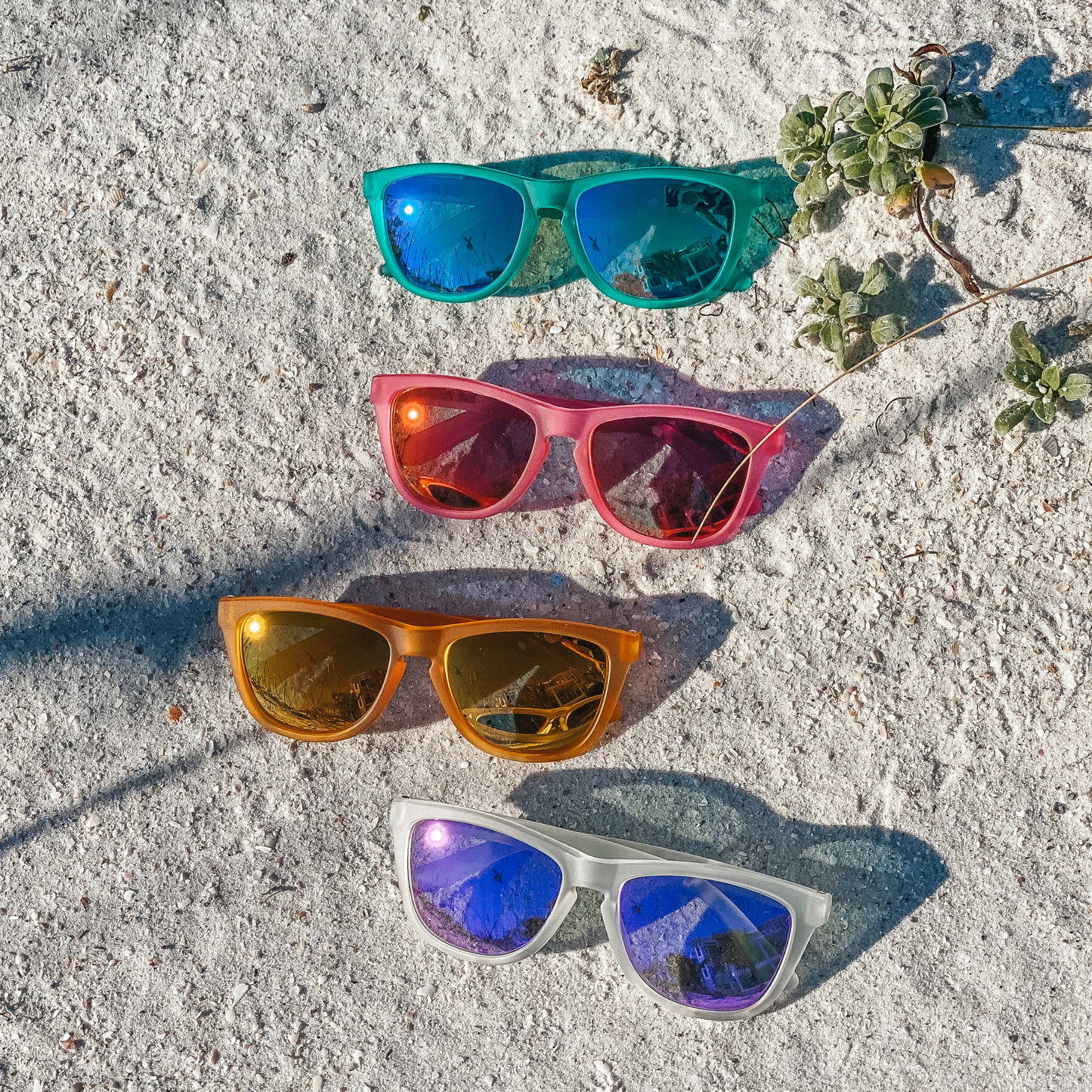 Live Wildly Polarized Sunglasses - Live Wildly