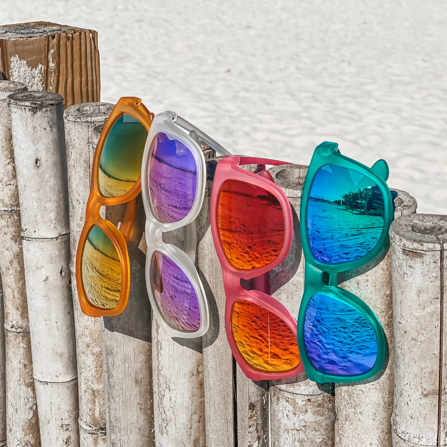 Live Wildly Polarized Sunglasses - Four Pairs On Bamboo Fence -Live Wildly