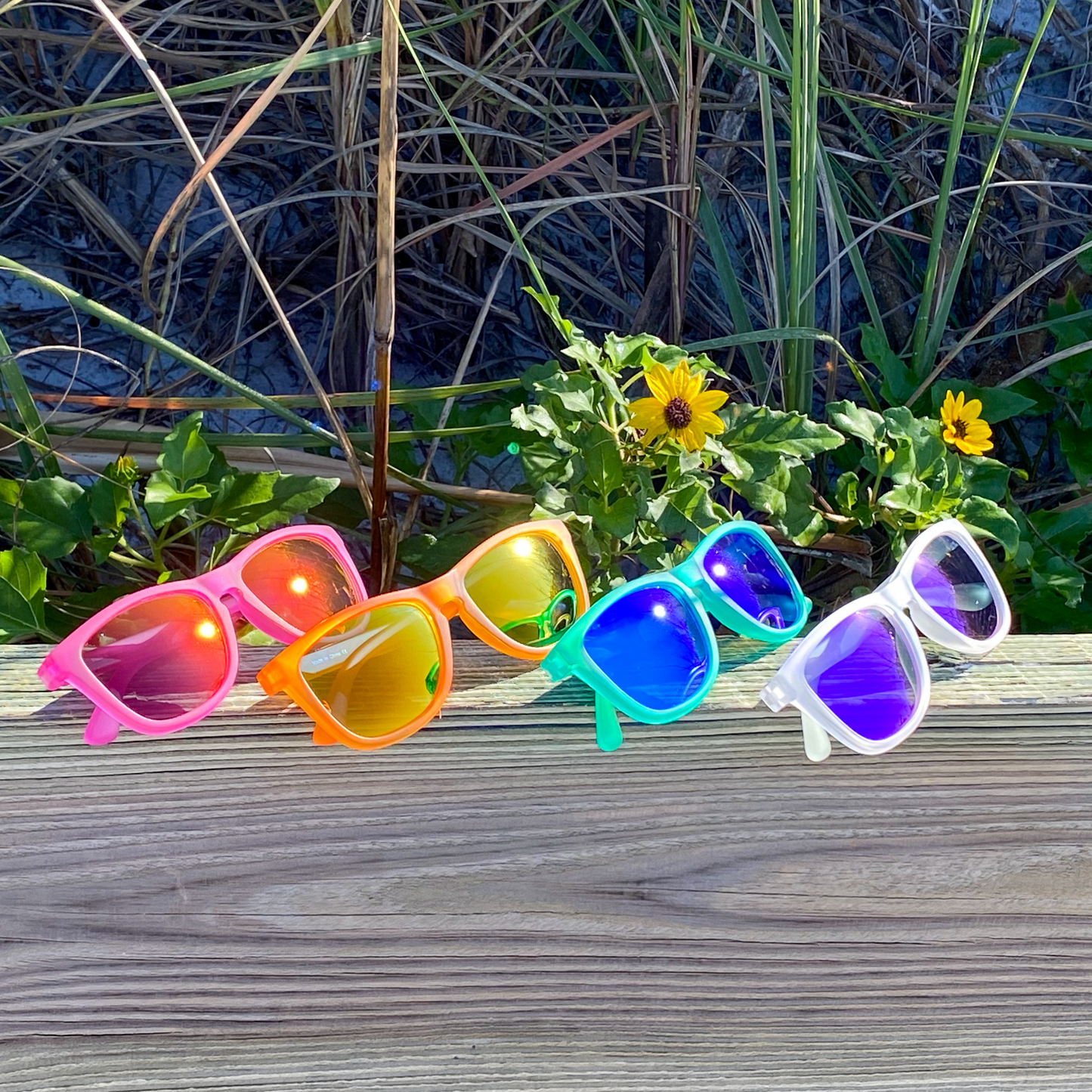 Live Wildly Polarized Sunglasses - Four Pairs On Wood Beam - Live Wildly