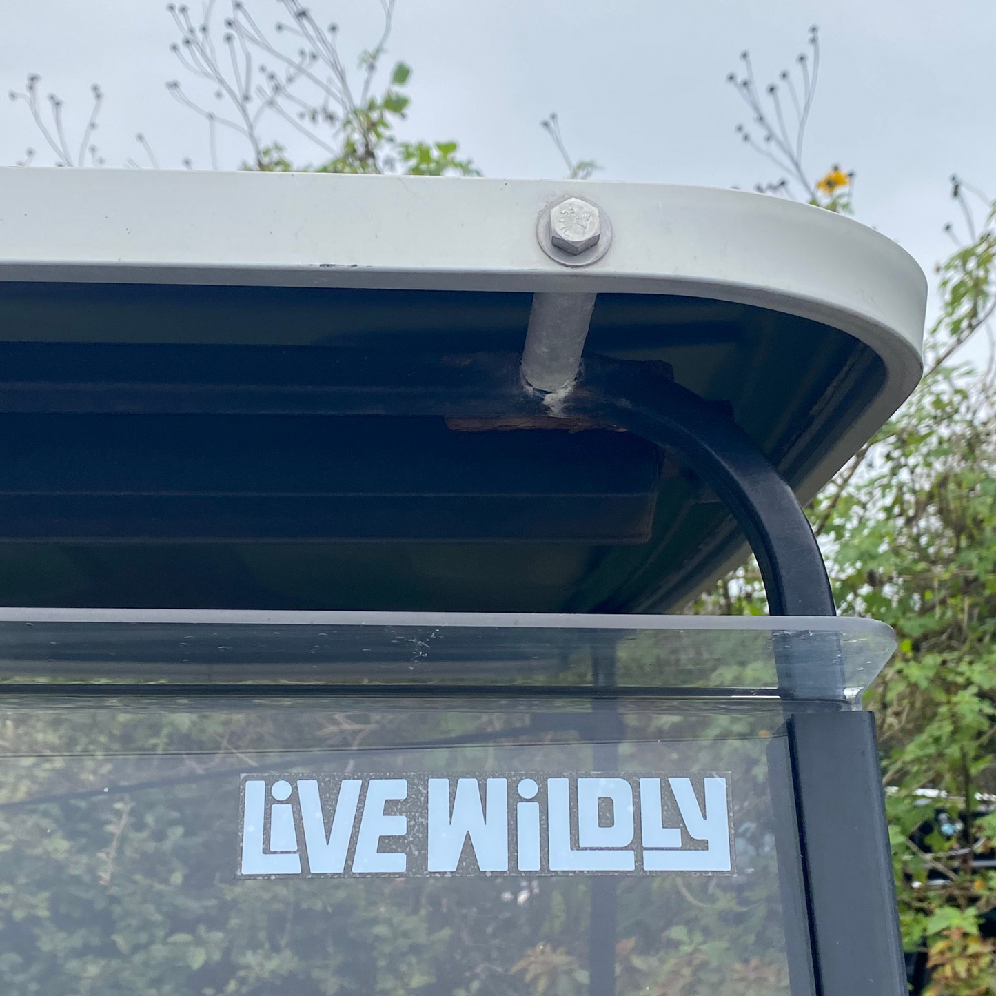Live Wildly Clear Stickers - On Golf cart - Live Wildly