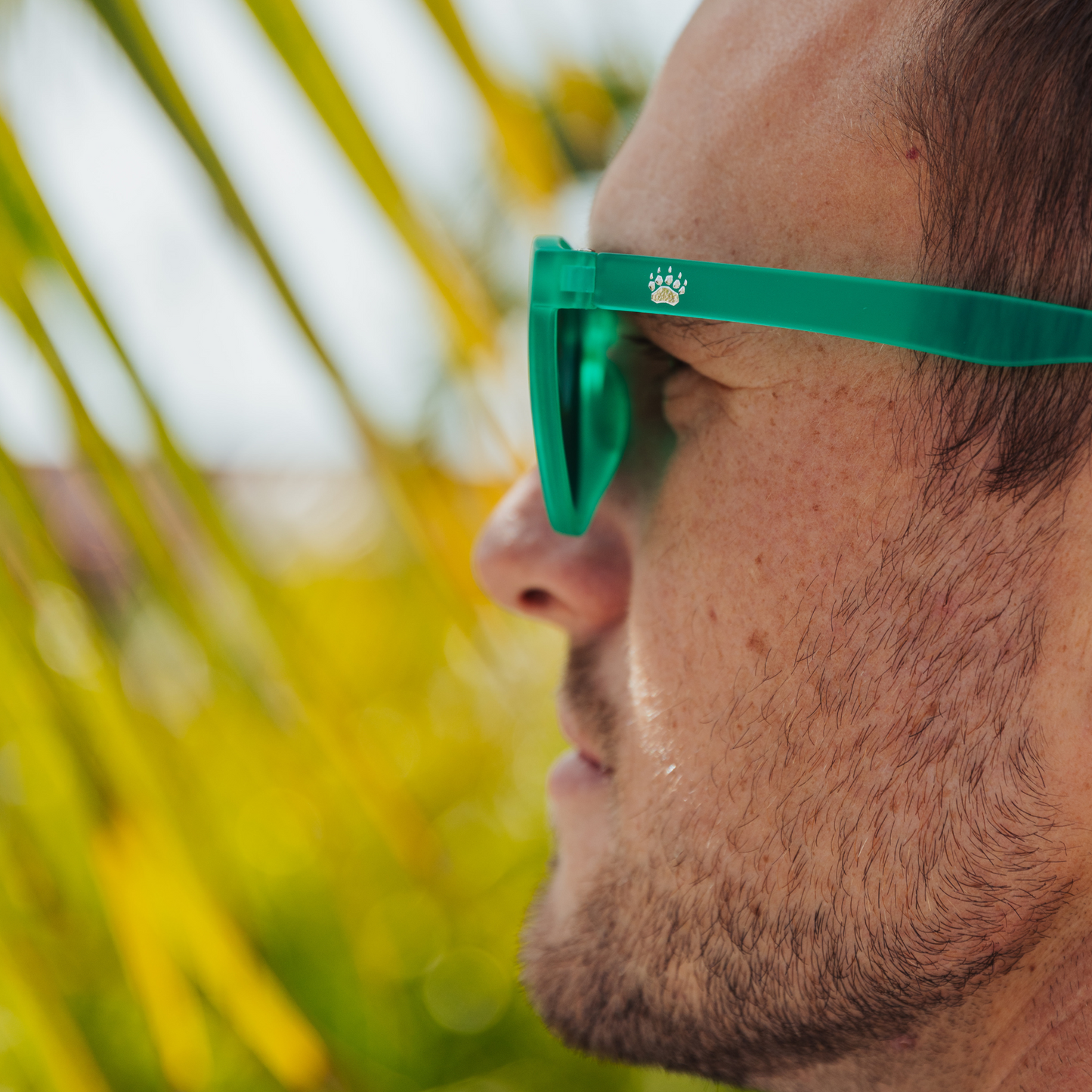 Live Wildly Polarized Sunglasses - Live Wildly