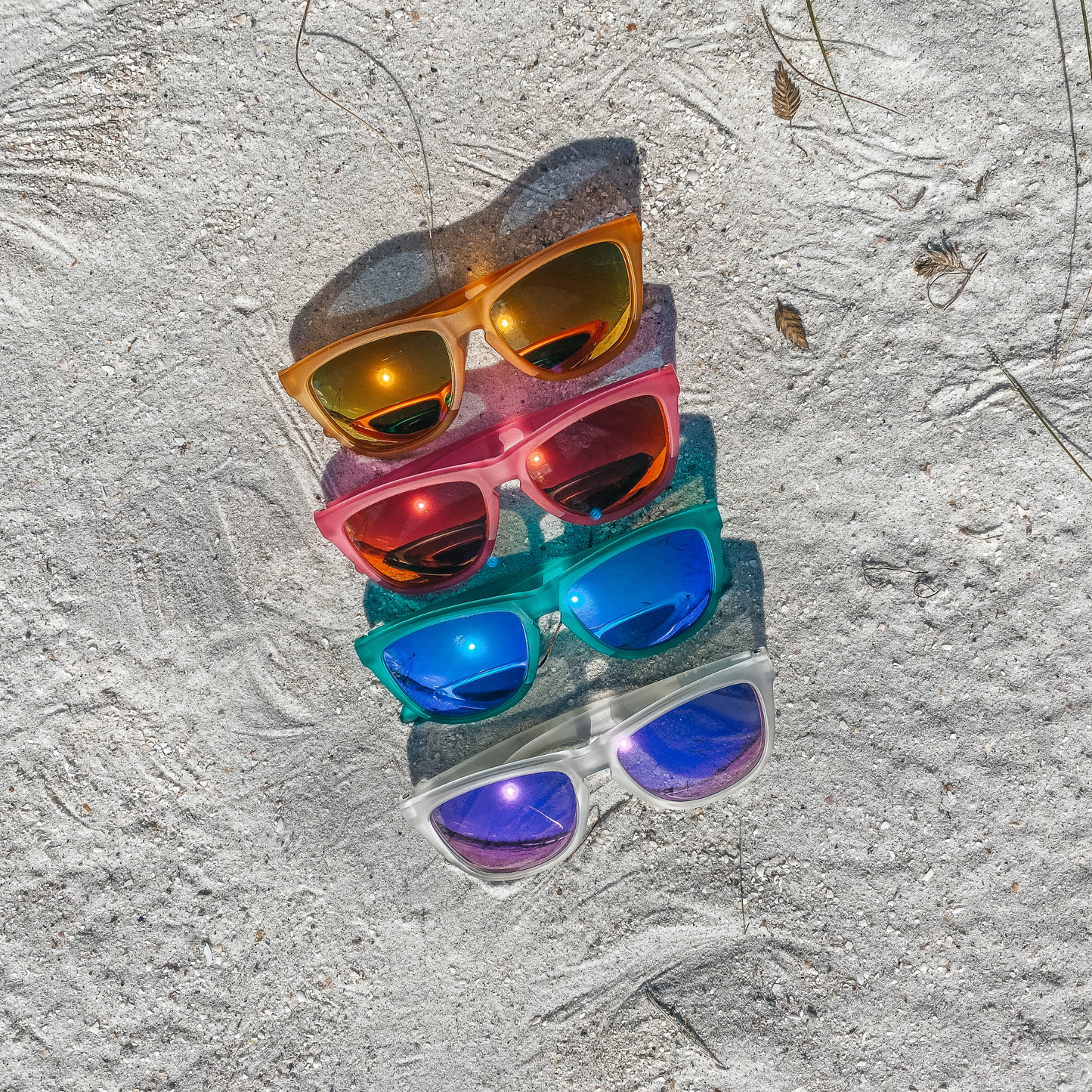 Live Wildly Polarized Sunglasses - Live Wildly