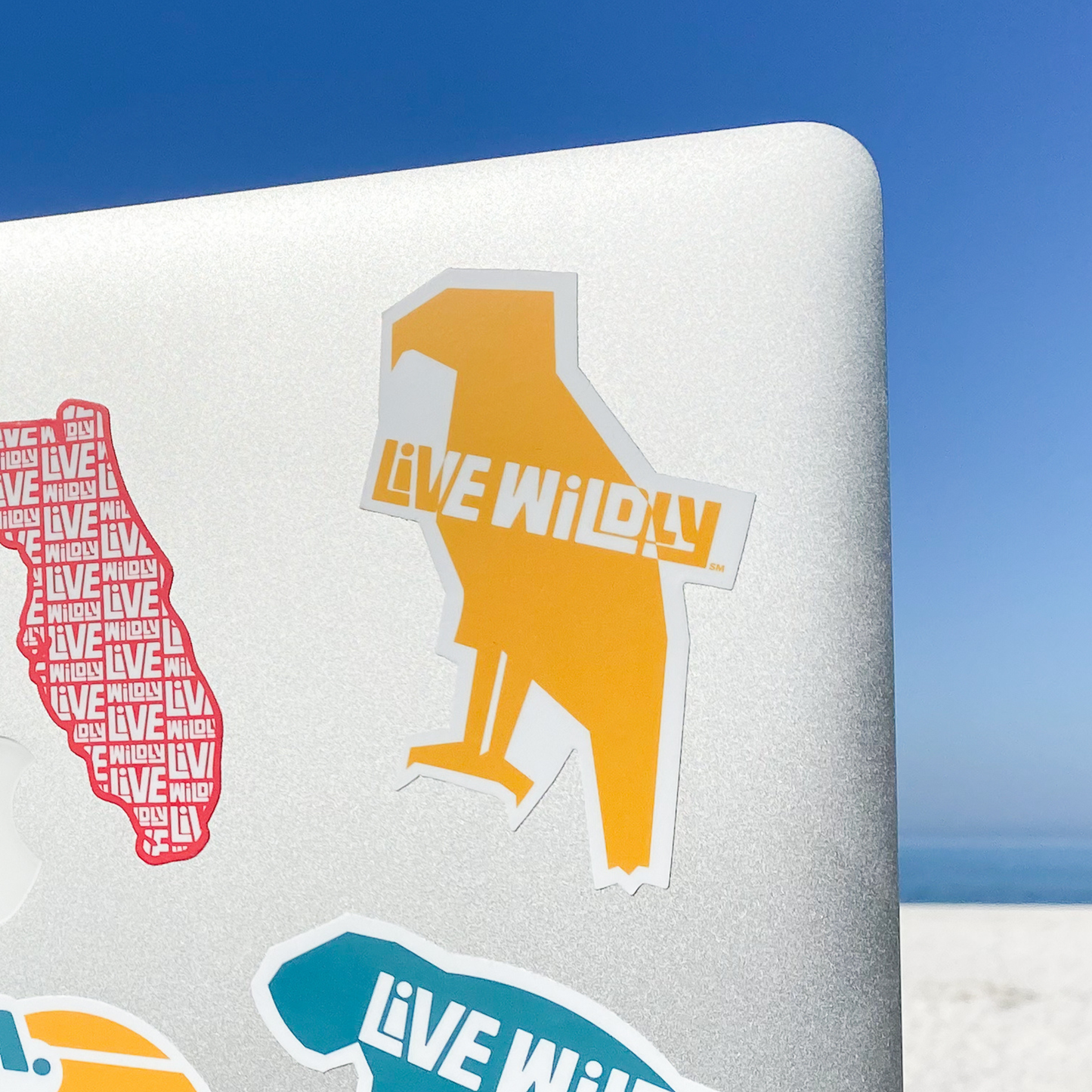 Live Wildly Bird Sticker - On Laptop Cover -Live Wildly