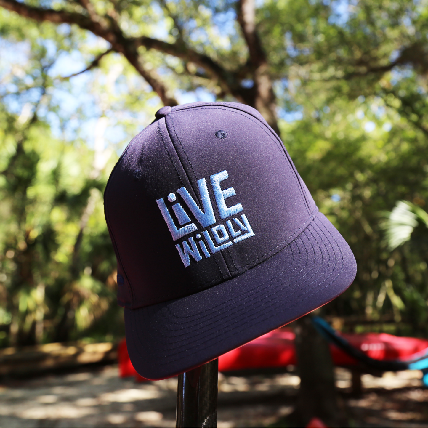 Live Wildly Map Snapback - Zoomed On Pole -Live Wildly