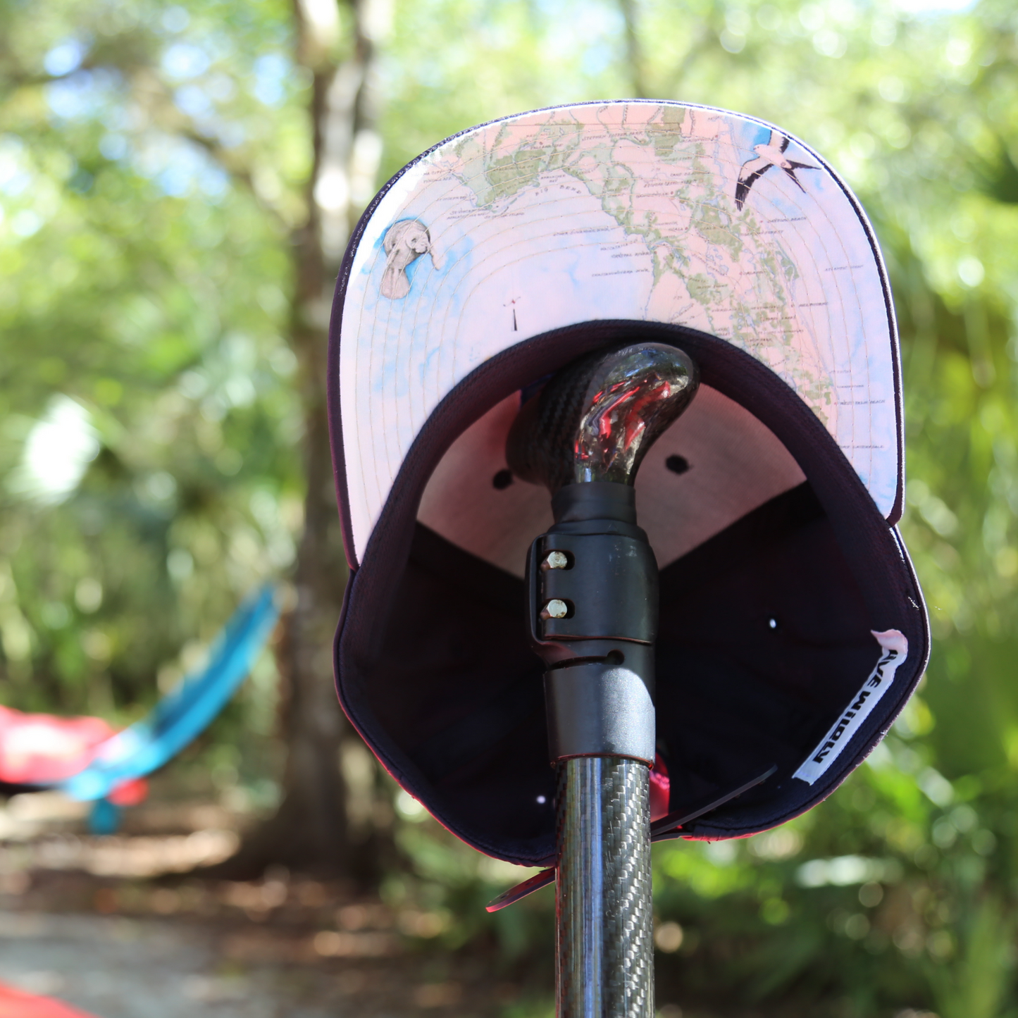 Live Wildly Map Snapback - Underneath - Live Wildly