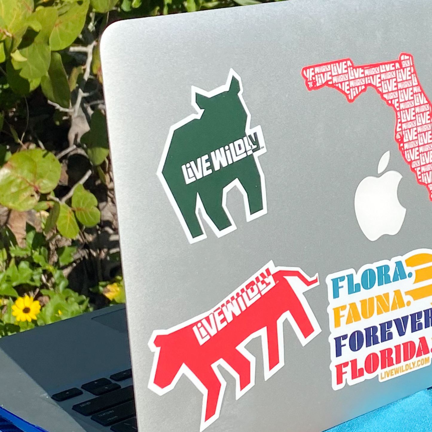 Live Wildly Bear Sticker - With Other Stickers -Live Wildly