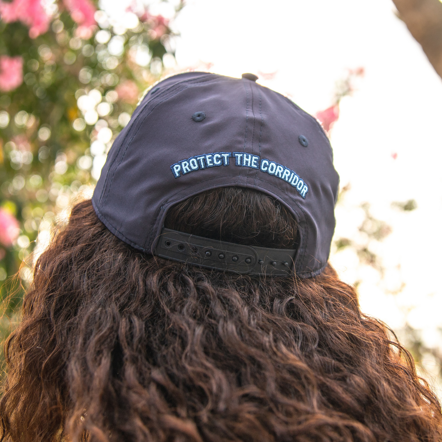 Live Wildly Map Snapback - Back - Live Wildly