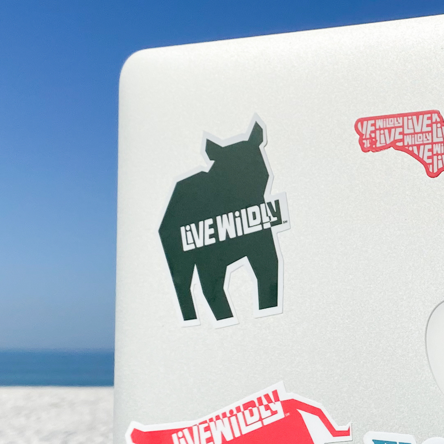 Live Wildly Bear Sticker - Green - On Laptop -Live Wildly