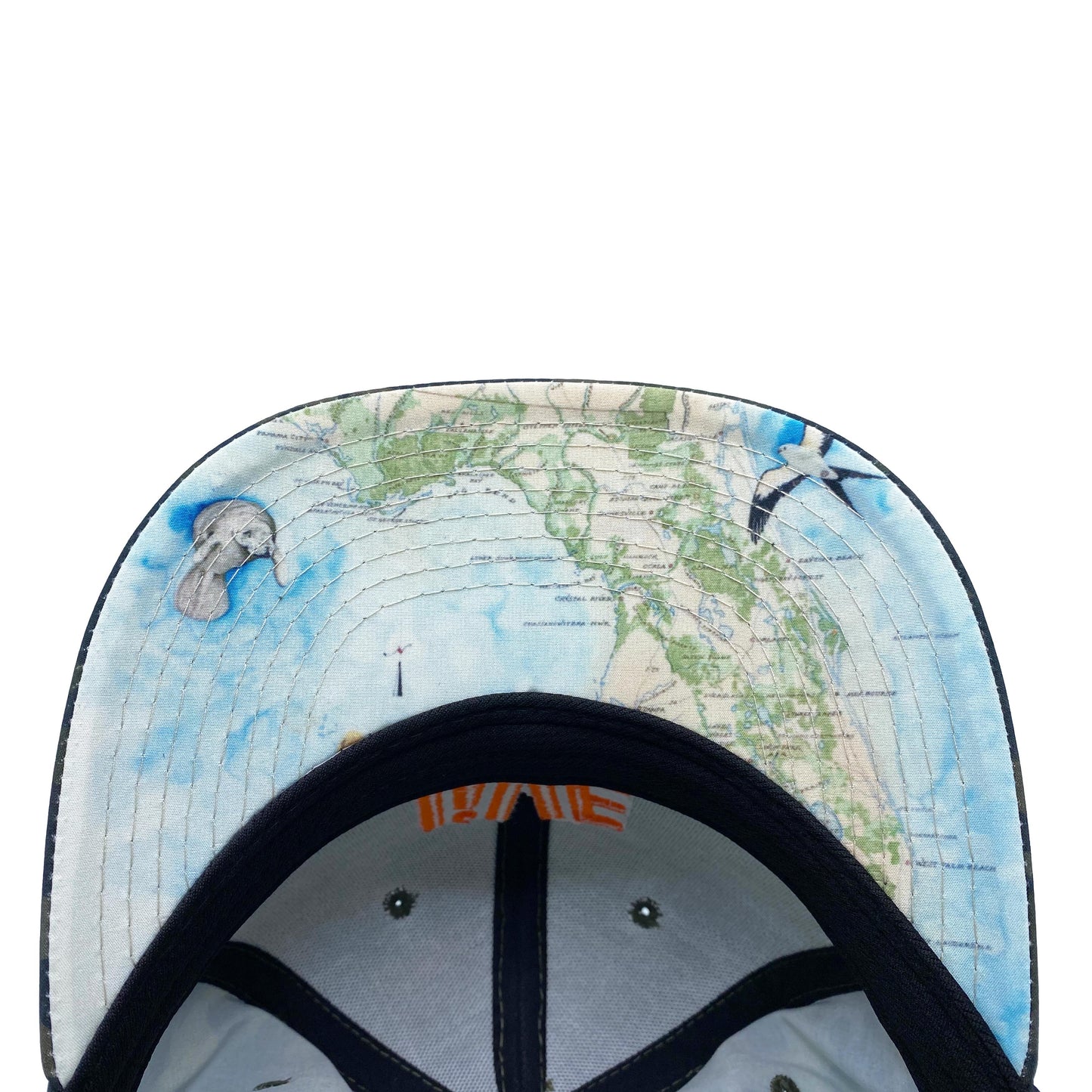 Live Wildly Map Snapback - Isolated Underneath Bill - Live Wildly