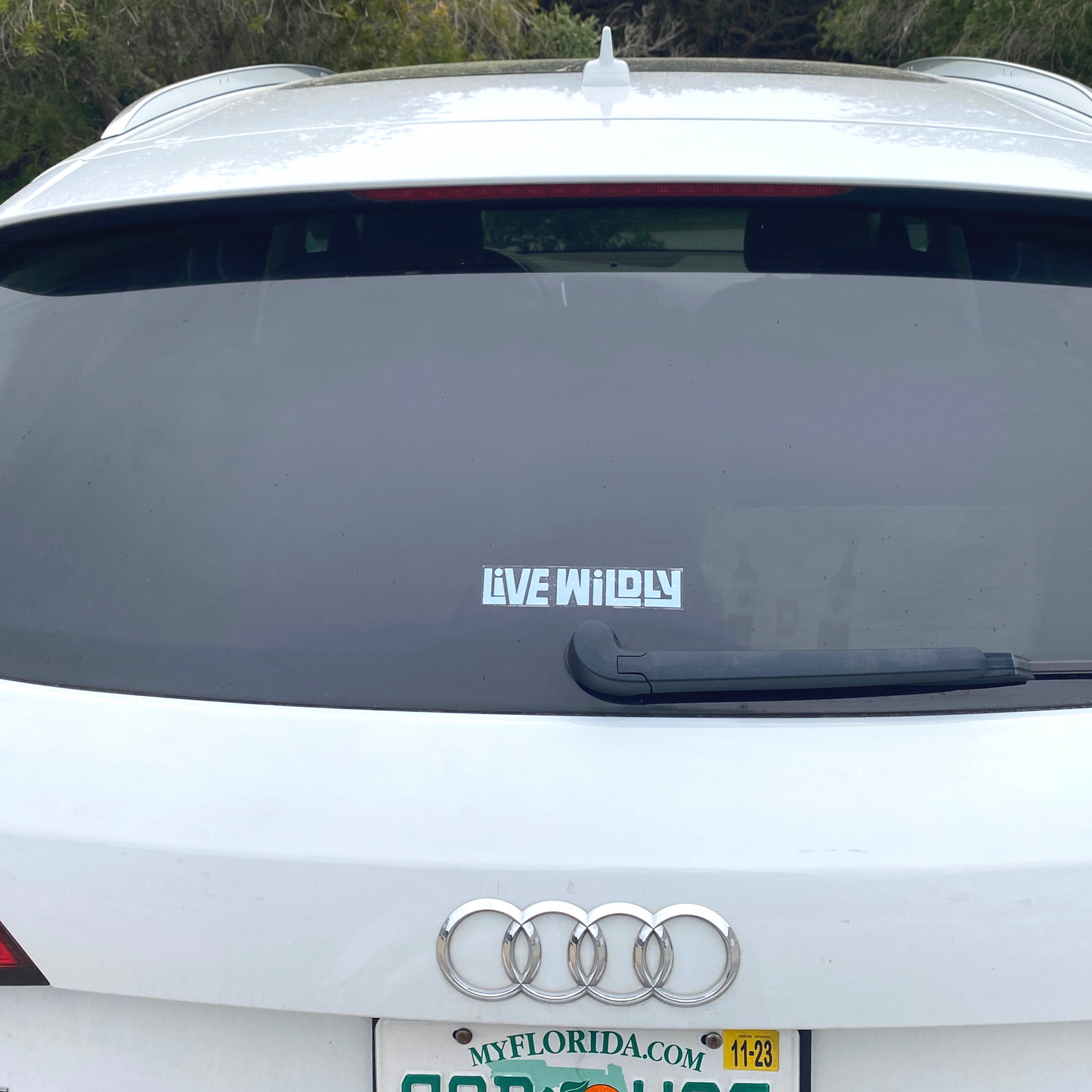 Live Wildly Clear Stickers - On Car Rear Window - Live Wildly