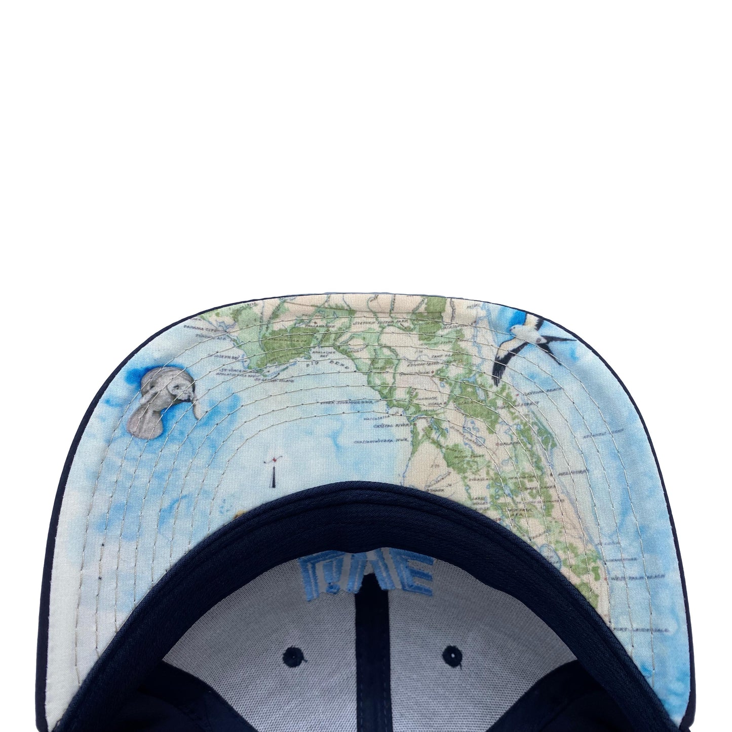 Live Wildly Map Snapback - Live Wildly
