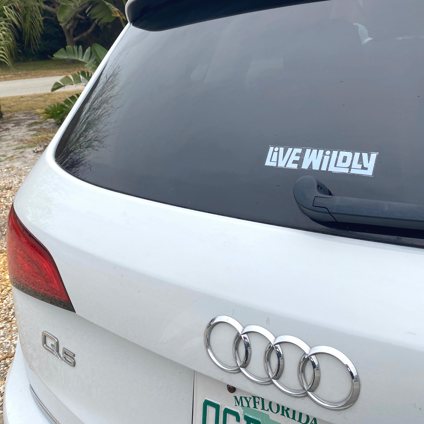 Live Wildly Clear Stickers - On White SUV -Live Wildly