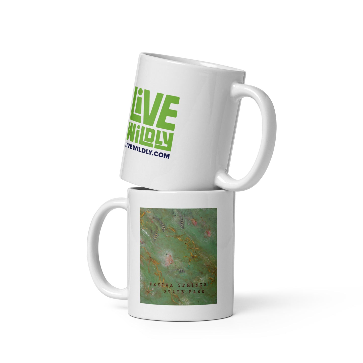 Wekiwa Springs Mug by Deborah Mitchell - Live Wildly 