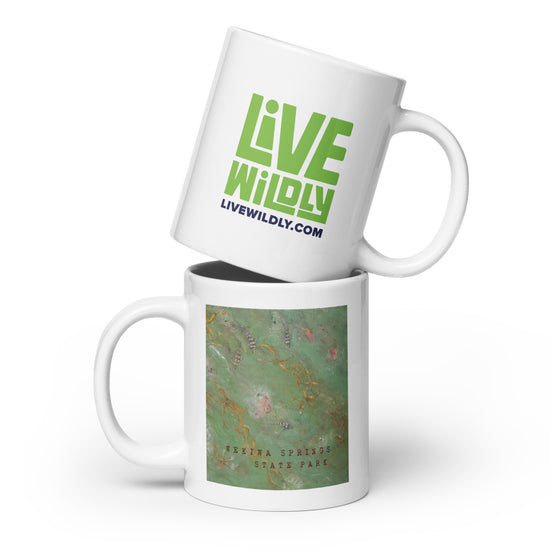 Wekiwa Springs Mug by Deborah Mitchell - Live Wildly 