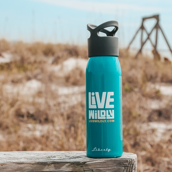 Load image into Gallery viewer, Live Wildly Recycled Water Bottle - Teal - Beach Behind On wood -Live Wildly 
