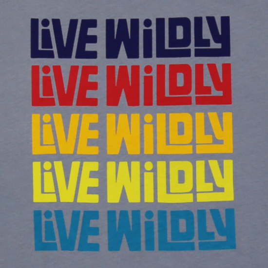 Load image into Gallery viewer, Live Wildly Tank - Grey - Live Wildly 

