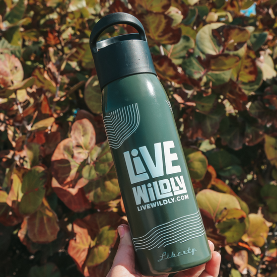 Live Wildly Recycled Water Bottle - Army Green - Live Wildly 