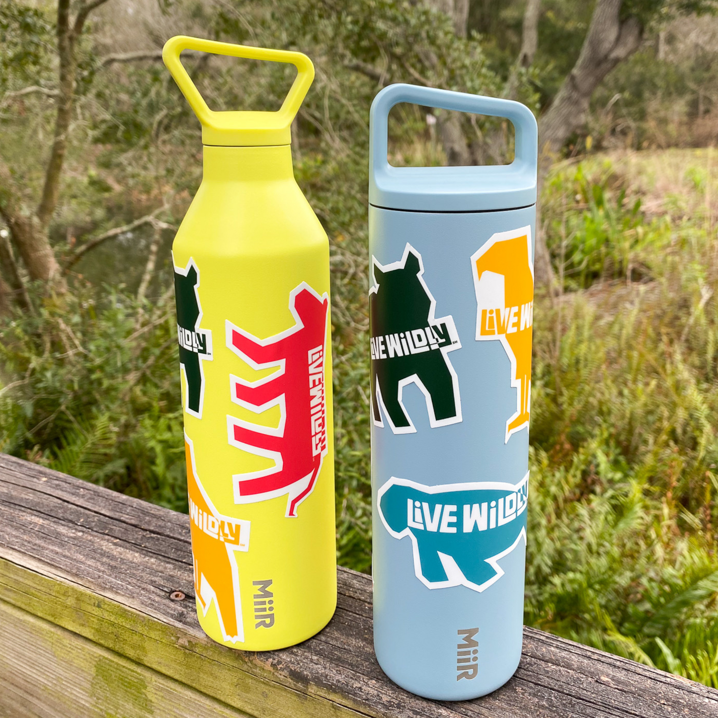 Load image into Gallery viewer, Live Wildly Bear Sticker -  On a Blue and a Yellow Water Bottle -Live Wildly 
