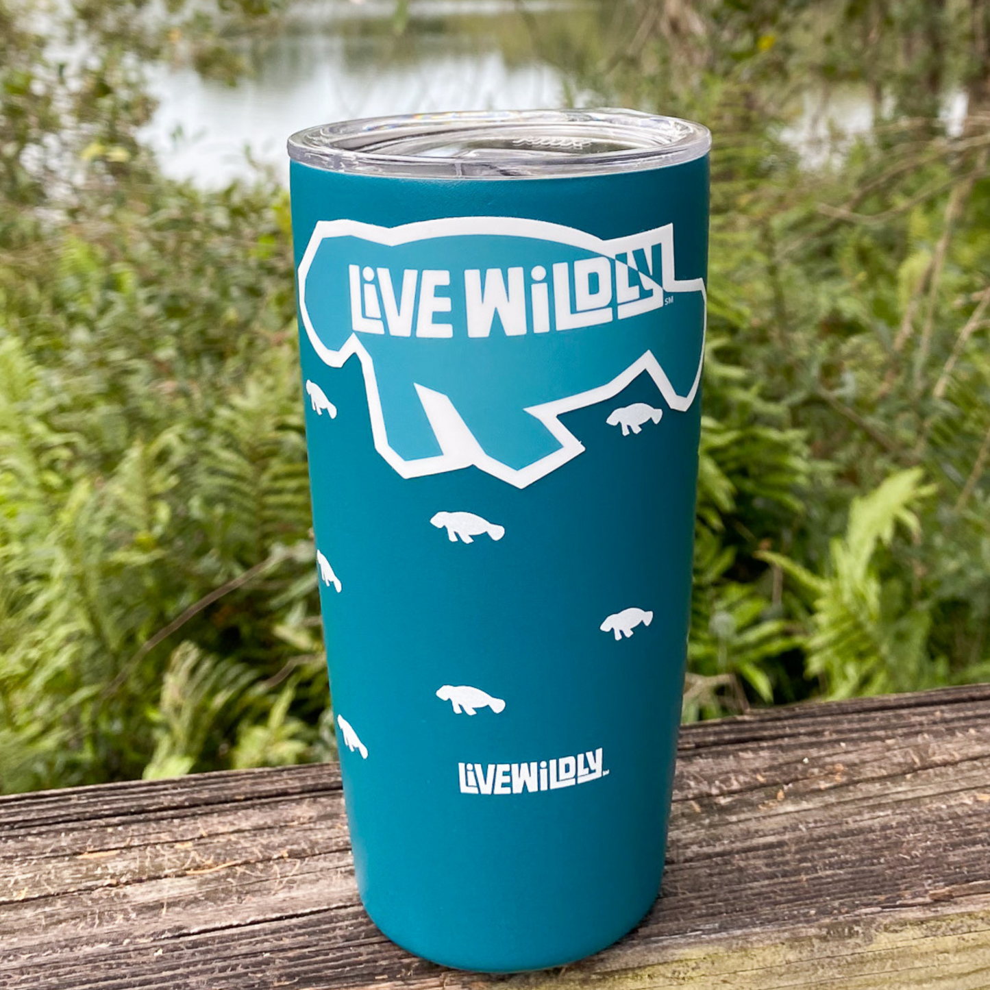 Live Wildly x MiiR 20 oz. Insulated Wide Mouth Water Bottle - Home