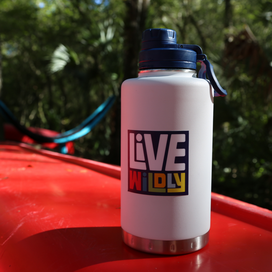 Live Wildly Square Sticker - On White Water Bottle -Live Wildly 