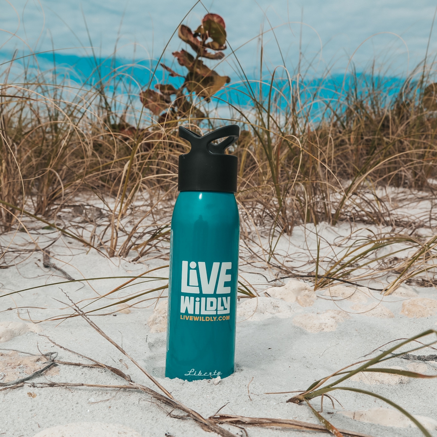 Load image into Gallery viewer, Live Wildly Recycled Water Bottle - Teal - Standing On Beach - Live Wildly 
