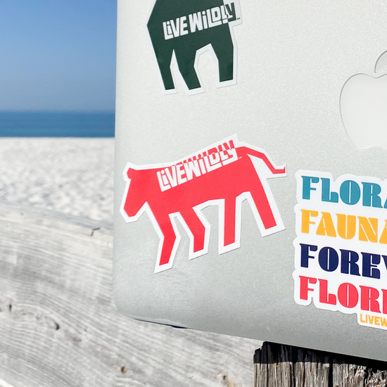 Load image into Gallery viewer, Live Wildly Panther Sticker - Live Wildly 
