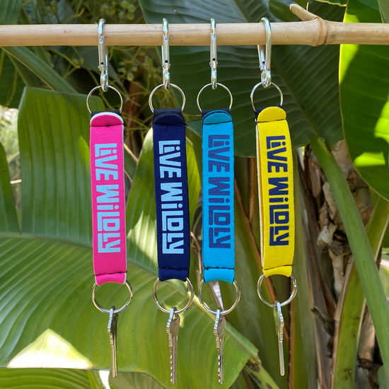 Neoprene Key Chain with Carabiner - Four Hanging From Bamboo - Live Wildly 